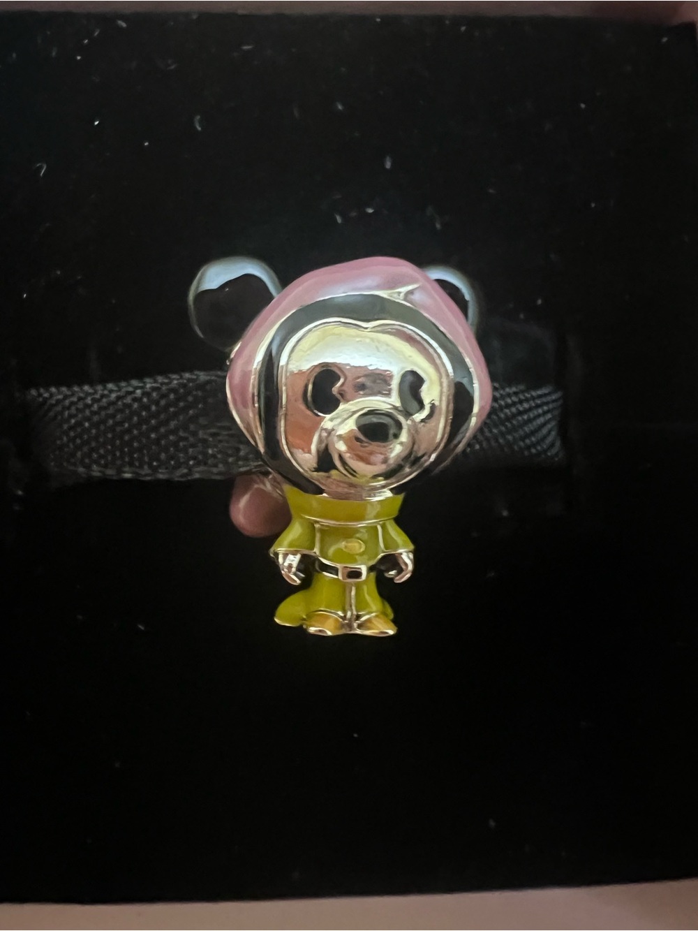 Disney Enamel Bear Charm - Pink Hood & Lime Outfit